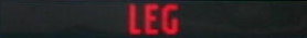 LEG