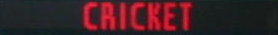 CRICKET