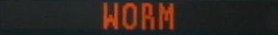 WORM